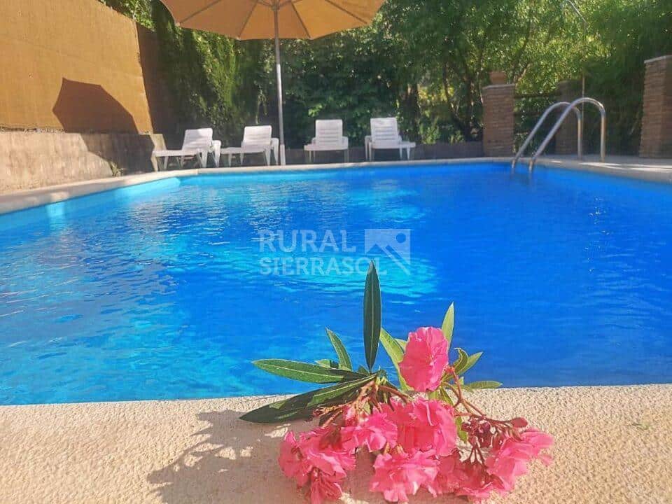 Maravillosas Casas Rurales en La Iruela, con piscina, barbacoa y aire acondicionado - Imagen 32