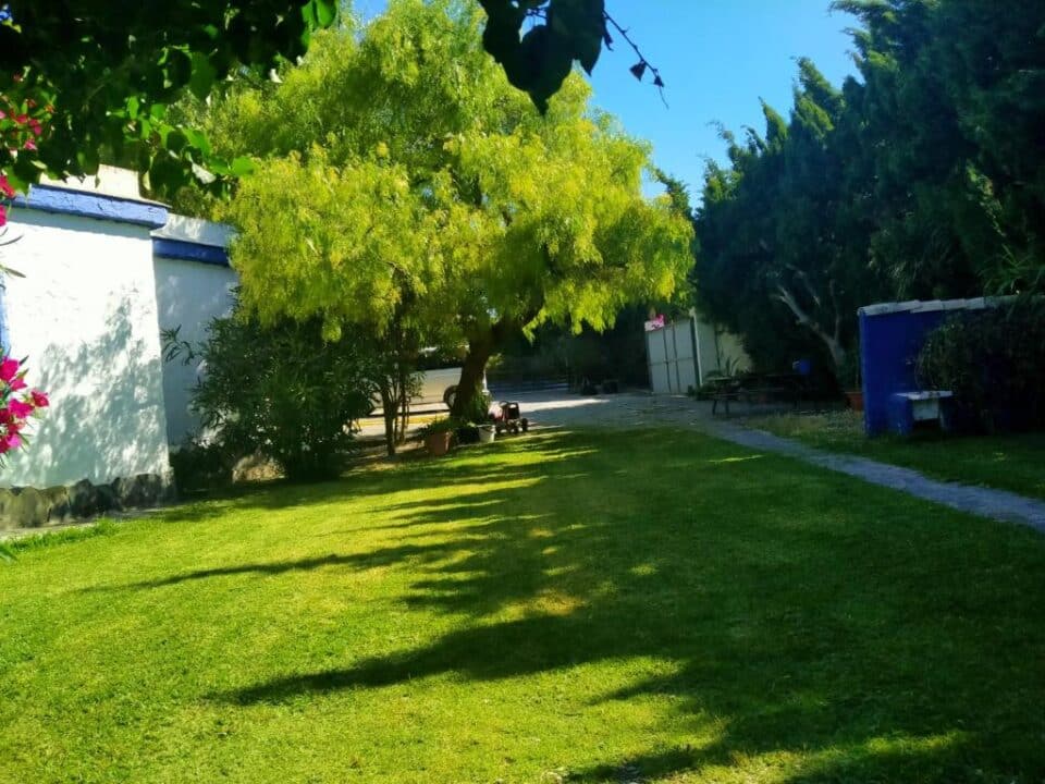 Acogedor apartamento rural en Chiclana de la Frontera, a 3 km de la playa - Imagen 20