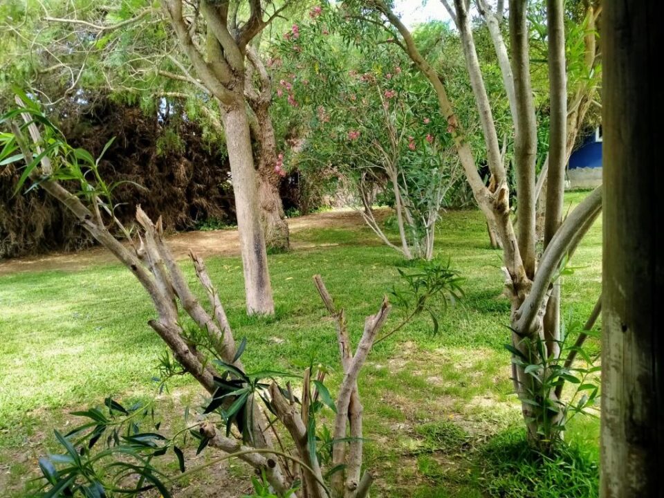 Acogedor apartamento rural en Chiclana de la Frontera, a 3 km de la playa - Imagen 21
