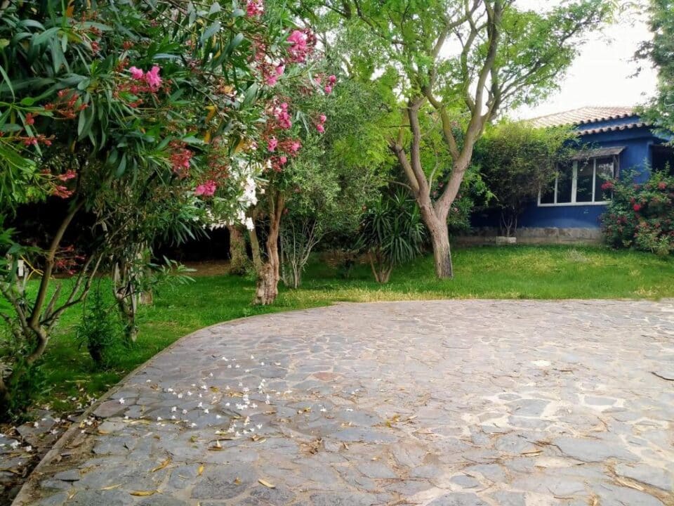 Acogedor apartamento rural en Chiclana de la Frontera, a 3 km de la playa - Imagen 22