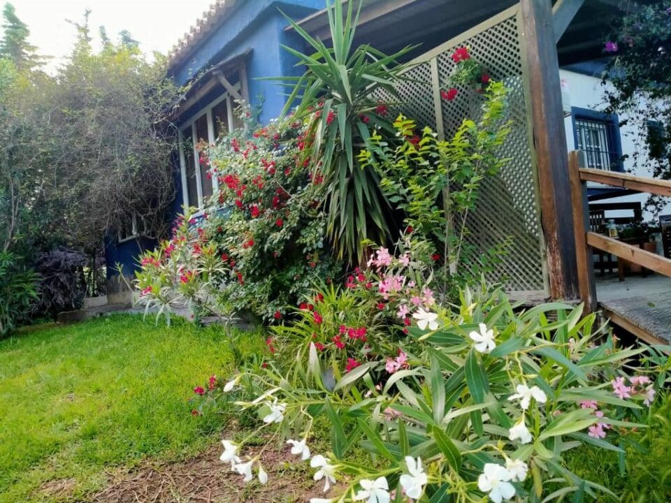Acogedor apartamento rural en Chiclana de la Frontera, a 3 km de la playa - Imagen 24