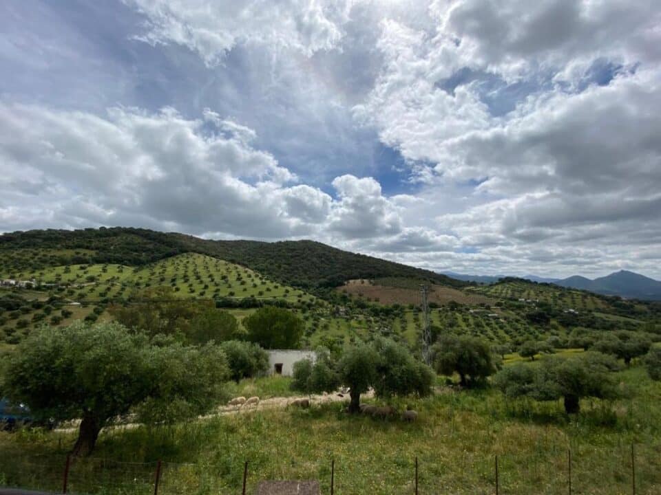 Precioso apartamento rural en Prado del Rey, con chimenea y piscina - Imagen 40