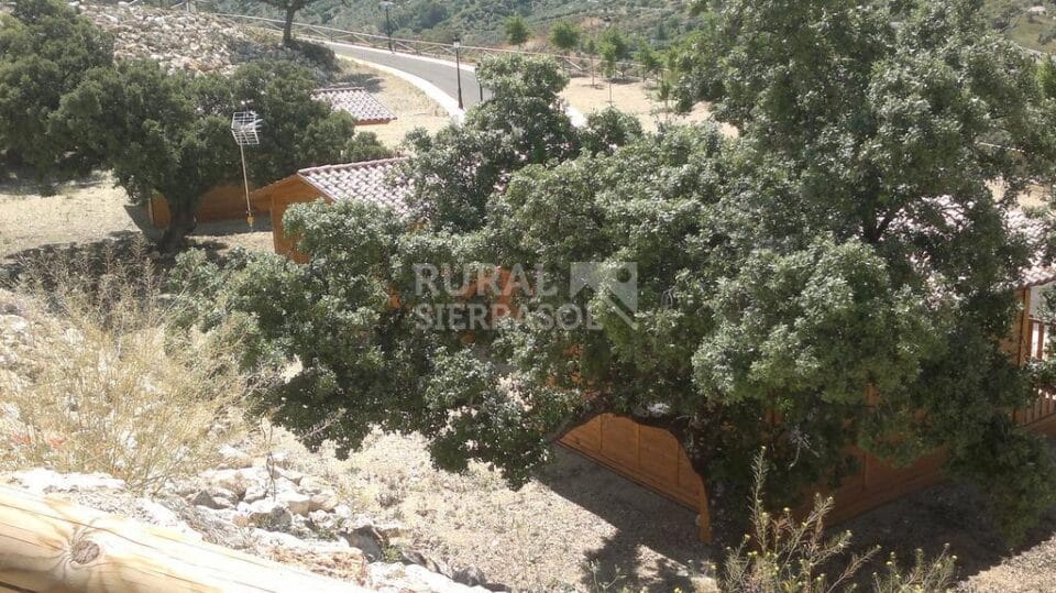 Acogedora Cabaña de Madera en la Ruta de los Pueblos Blancos de la Sierra de Cádiz - Imagen 16