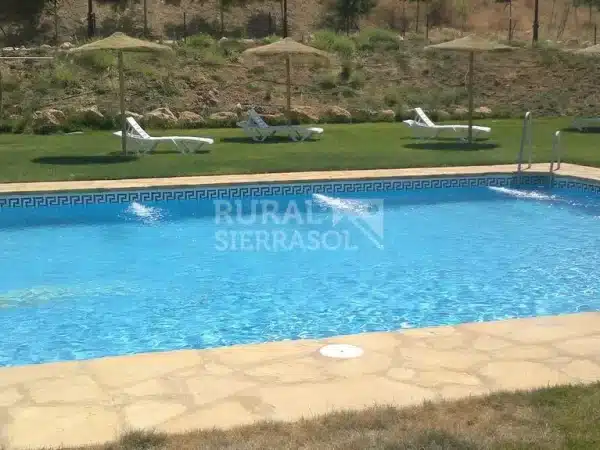 Piscina de Casa rural en Olvera (Cádiz)-3411