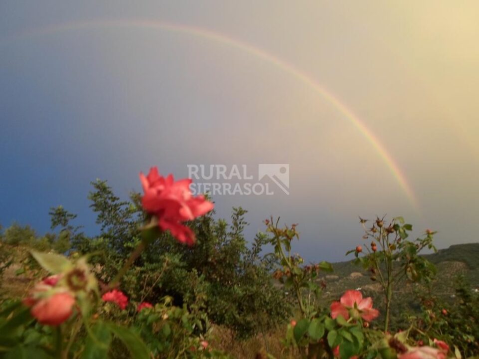 Acogedora Cabaña de Madera en la Ruta de los Pueblos Blancos de la Sierra de Cádiz - Imagen 32