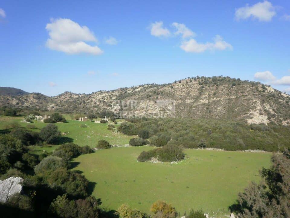 Acogedora Cabaña de Madera en la Ruta de los Pueblos Blancos de la Sierra de Cádiz - Imagen 38