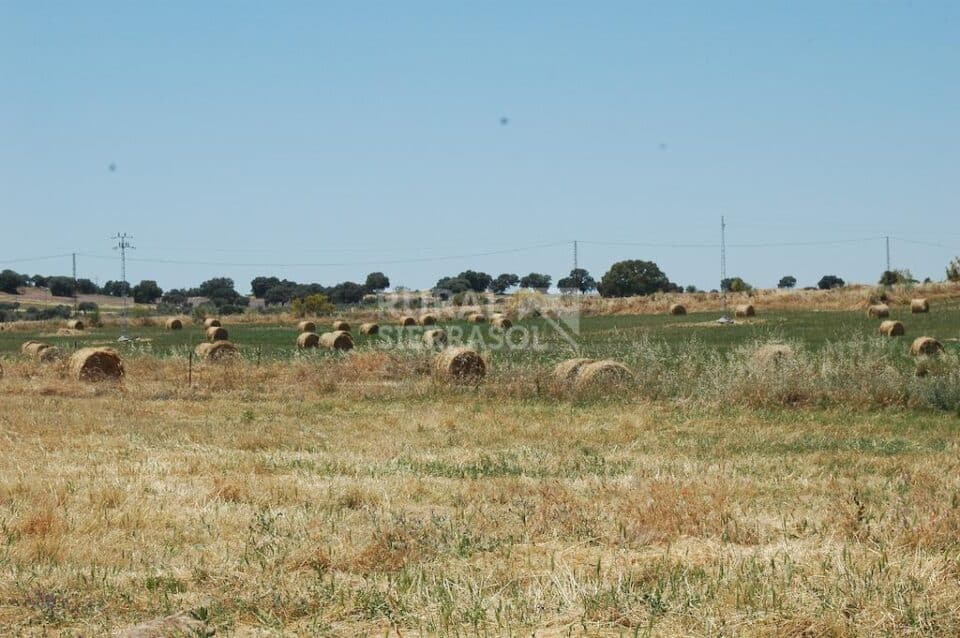 Conjunto Rural en El Valle de Los Pedroches - Imagen 76