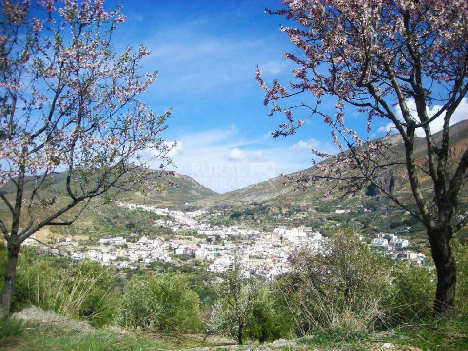 Magnífico Apartamento Rural en Güéjar Sierra, con wifi y calefacción central - Imagen 23