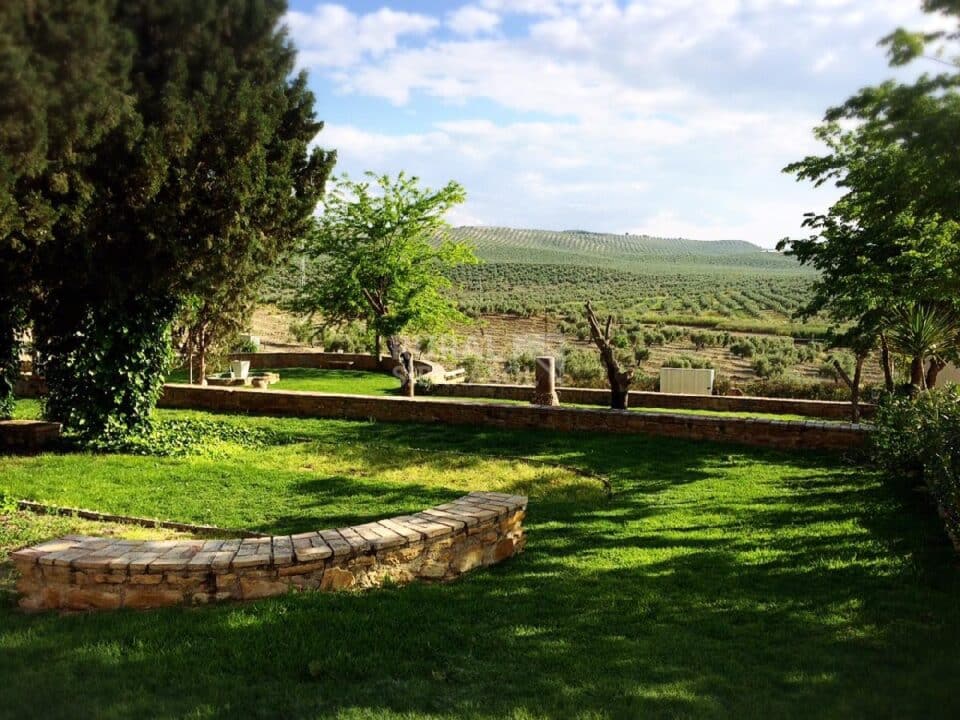Conjunto Rural con piscina y aire acondicionado, en plena Campiña de Jaén - Imagen 70