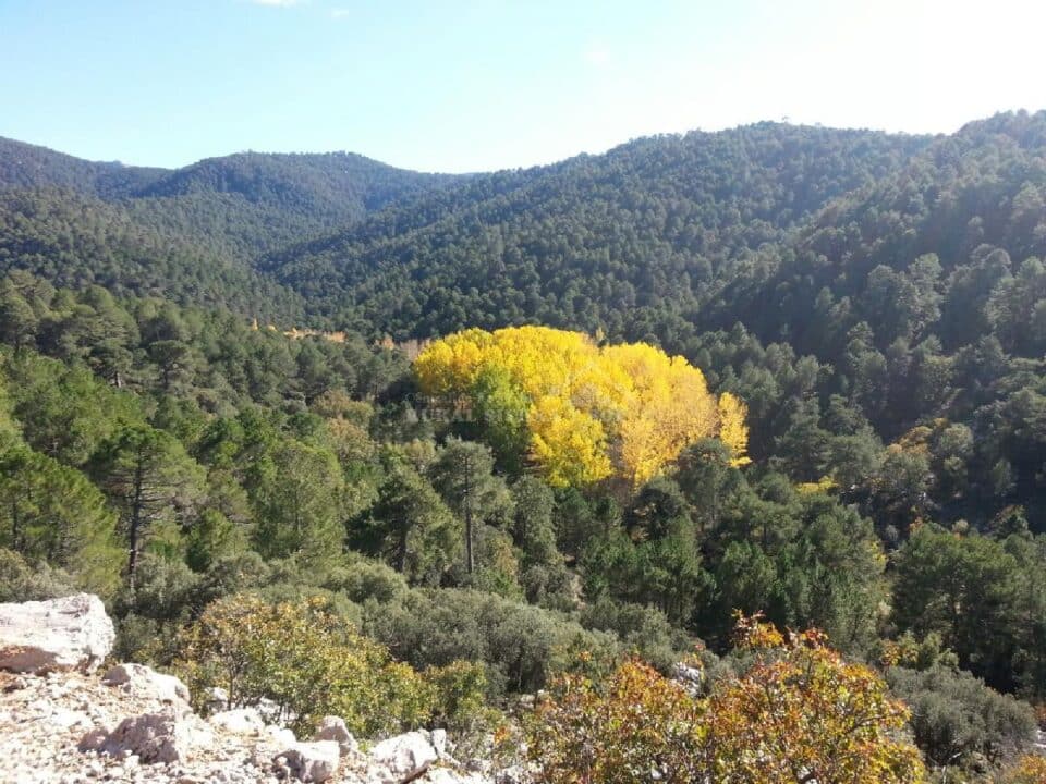 Amplio Alojamiento Rural en Arroyo Frío - Imagen 12