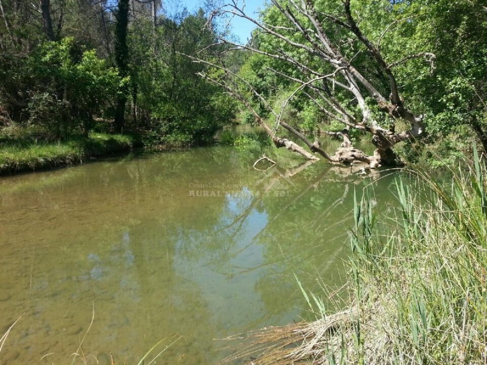 Amplio Alojamiento Rural en Arroyo Frío - Imagen 14