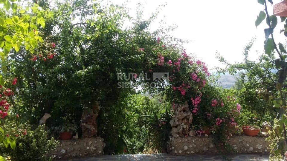 Bonita Casa Rural en El Gastor con piscina, barbacoa y chimenea - Imagen 49