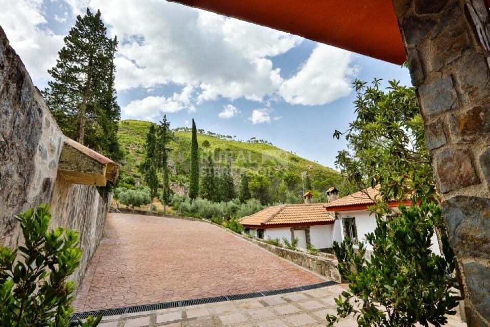 Conjunto de doce apartamentos rurales en pleno Parque Natural de las Sierras de Cazorla, Segura y Las Villas - Imagen 3