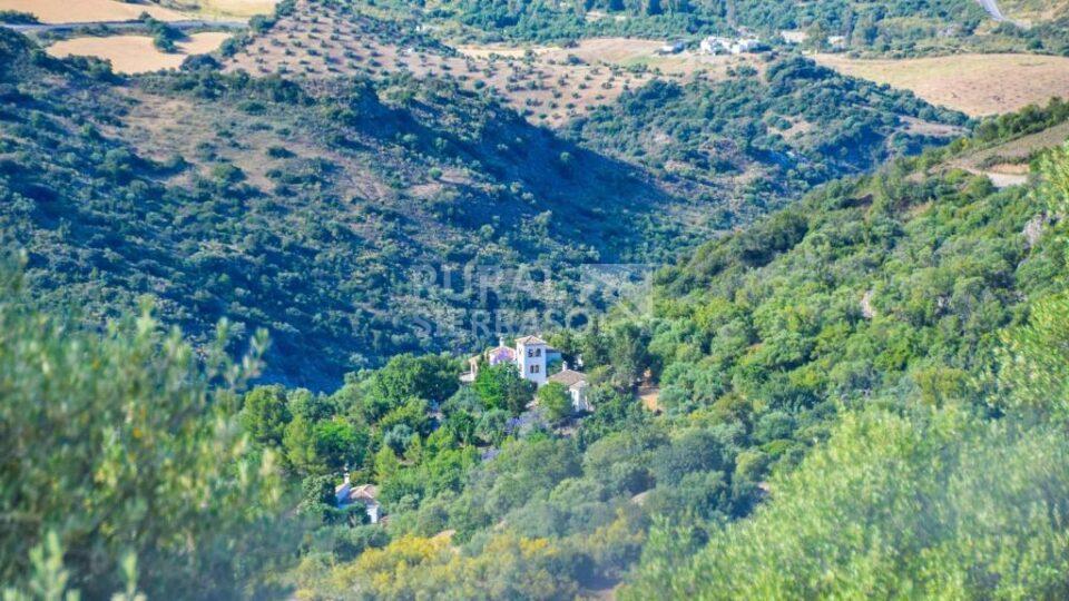 Excepcional Cortijo en El Gastor con piscina, chimenea y calefacción central - Imagen 36