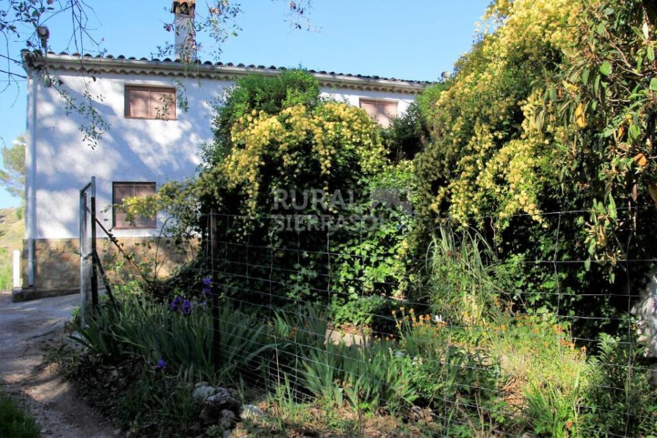 Preciosa Casa Rural en Hornos de Segura, con barbacoa y chimenea - Imagen 36