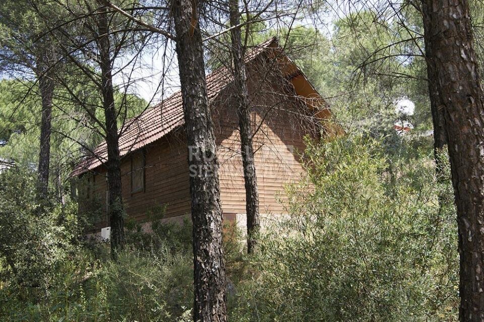 Acogedora Cabaña en plena Sierra de Andújar - Imagen 35
