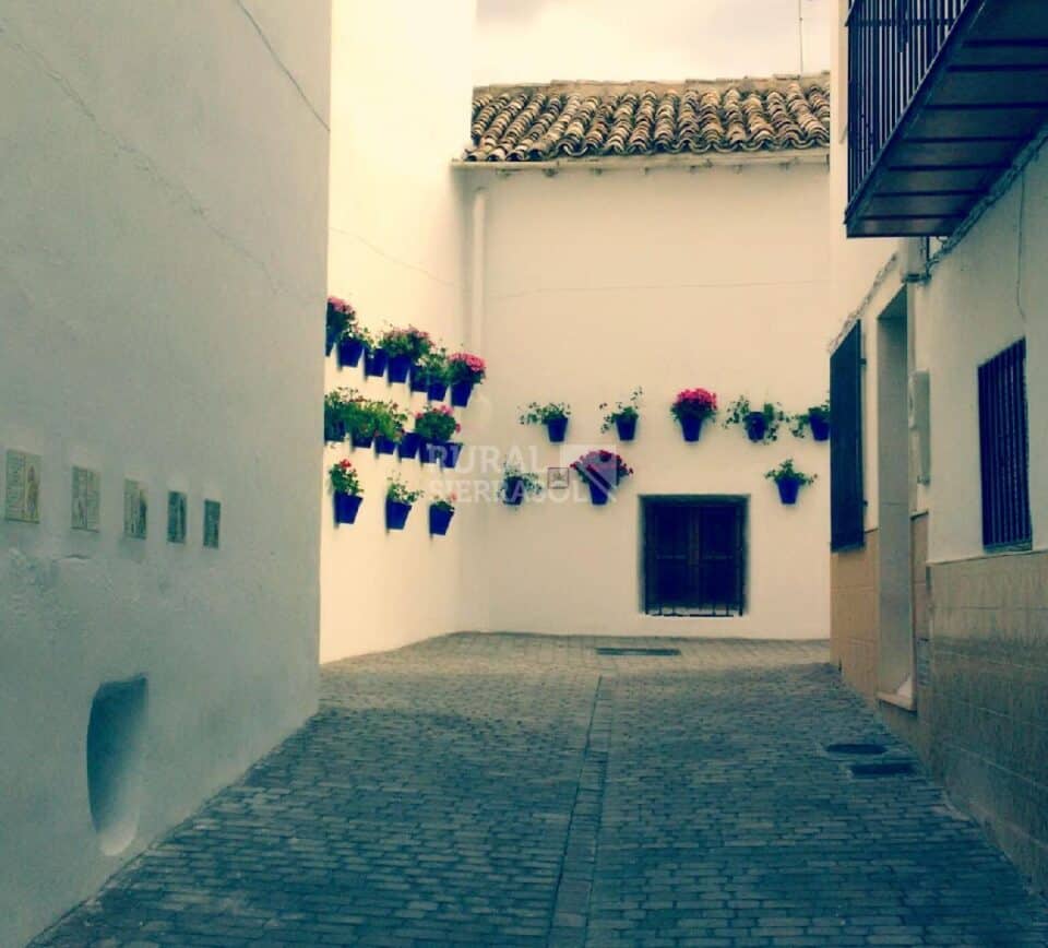 Maravilloso Alojamiento Rural en Quesada, con bañera hidromasaje, aire acondicionado, terraza con barbacoa, - Imagen 13