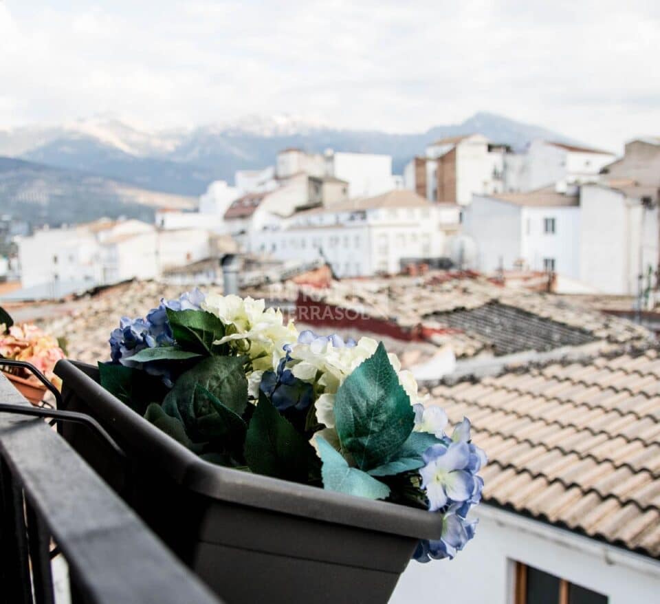 Precioso Alojamiento Rural en Quesada, con bañera hidromasaje, aire acondicionado, terraza - Imagen 45