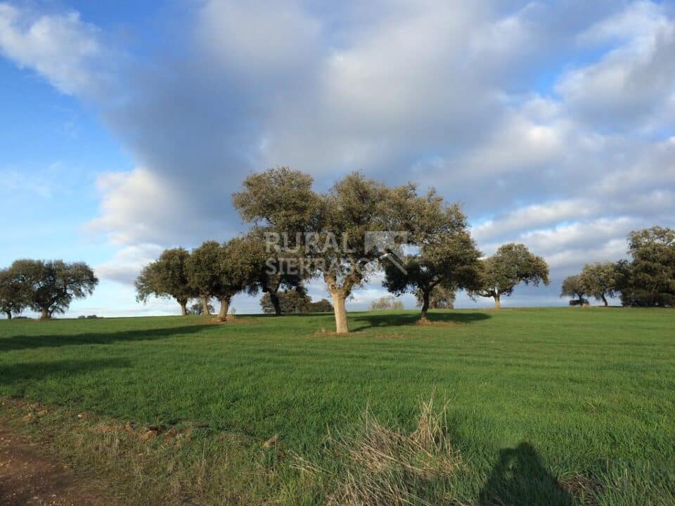Majestuosa casa rural en Villanueva del Duque, con piscina y barbacoa - Imagen 32