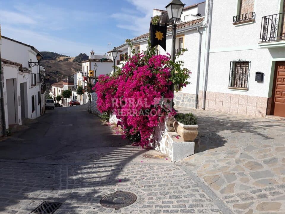 Acogedora casa rural en Ronda. con chimenea - Imagen 19