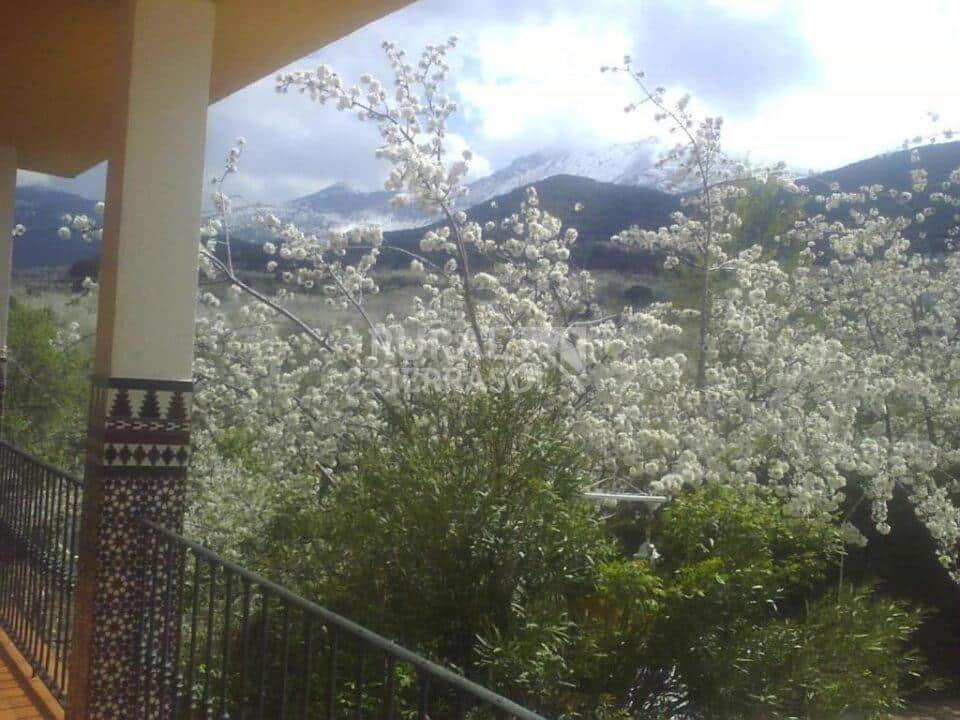 Preciosa Villa en Torres, con piscina y barbacoa - Imagen 38