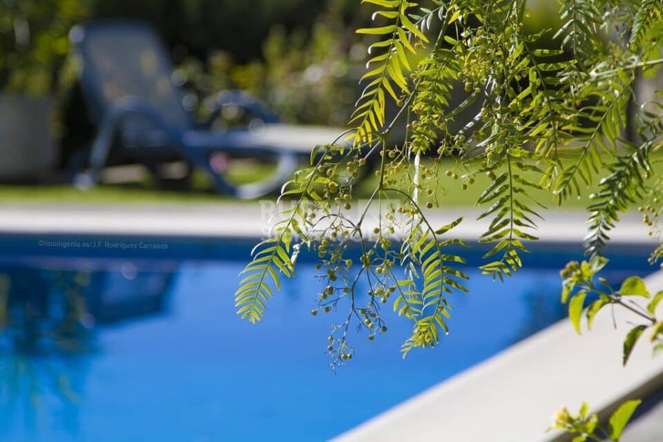 Maravillosa Villa en Medina Sidonia, con piscina, aire acondicionado y wifi - Imagen 31
