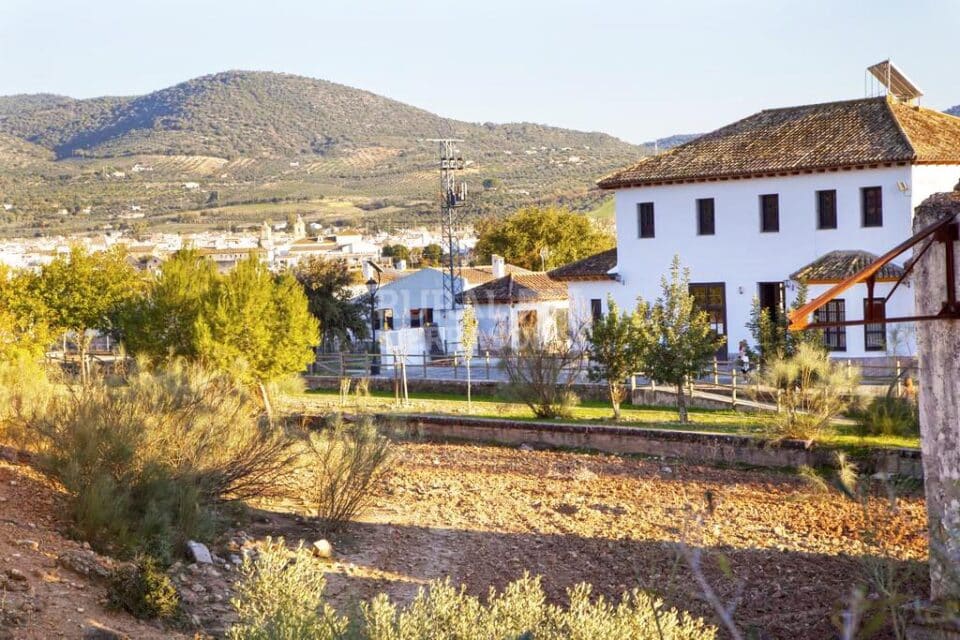 Bonita Casa Rural en la Vía Verde de la Sierra de Cádiz - Imagen 4