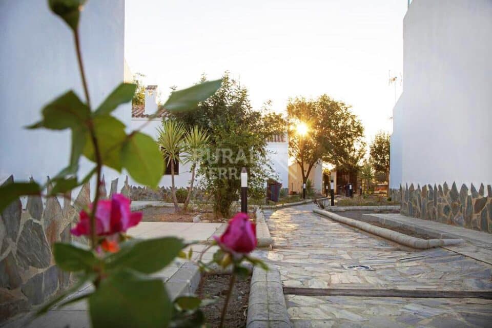 Bonita Casa Rural en la Vía Verde de la Sierra de Cádiz - Imagen 13