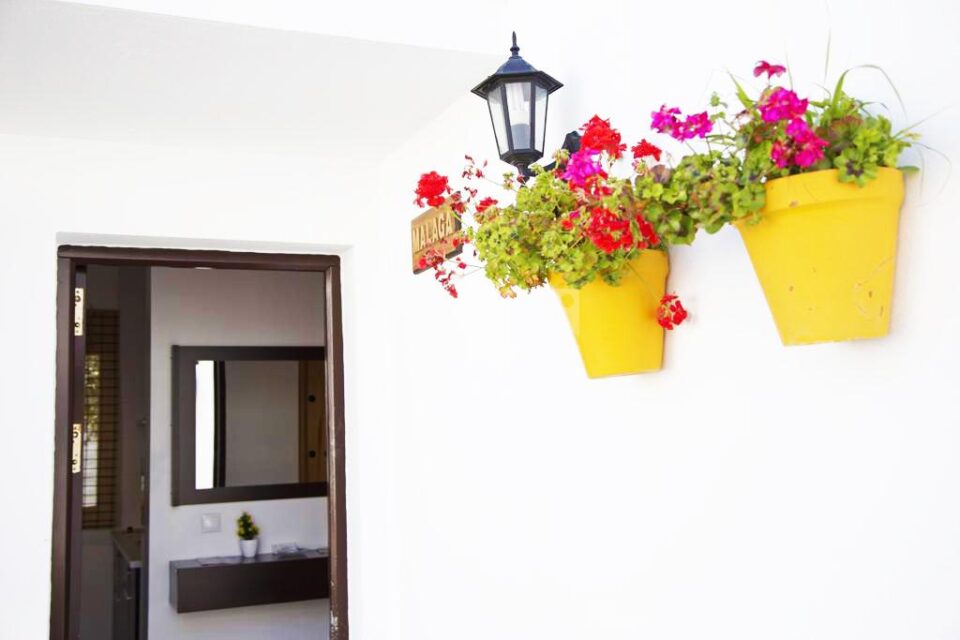 Bonita Casa Rural en la Vía Verde de la Sierra de Cádiz - Imagen 22