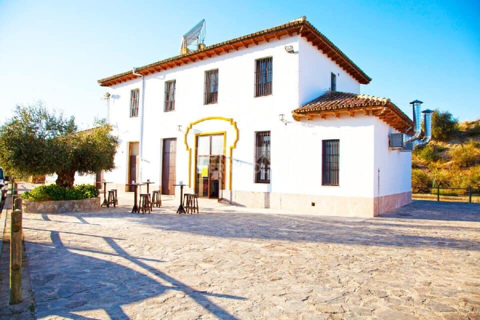 Bonita Casa Rural en la Vía Verde de la Sierra de Cádiz - Imagen 26