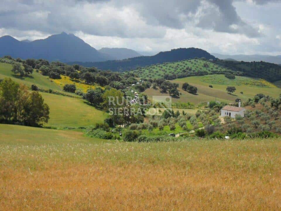 Cómoda Casa Rural en Prado del Rey, con chimenea y barbacoa - Imagen 41