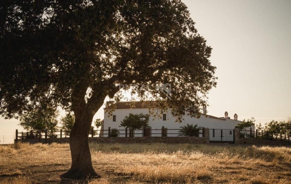 Magnífica Casa Rural en Pozoblanco, con piscina y barbacoa - Imagen 4