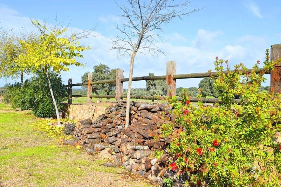 Magnífica Casa Rural en Pozoblanco, con piscina y barbacoa - Imagen 39