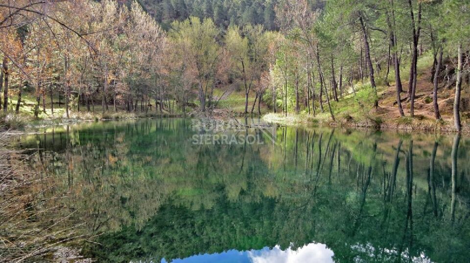 Acogedora Vivienda Rural en el centro del Parque Natural de Cazorla, Segura y Las Villas - Imagen 9