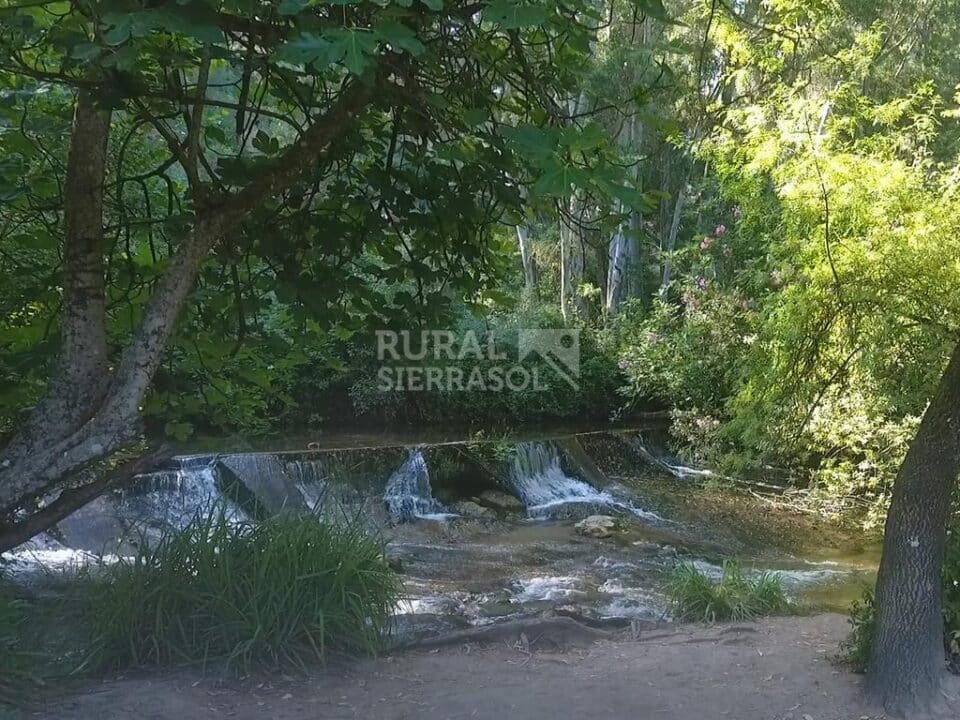 Acogedor Apartamento Rural en El Bosque, con Aire Acondicionado y Wifi - Imagen 22