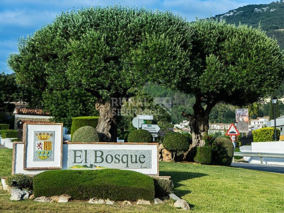 Acogedor Apartamento Rural en El Bosque, con Aire Acondicionado y Wifi - Imagen 29