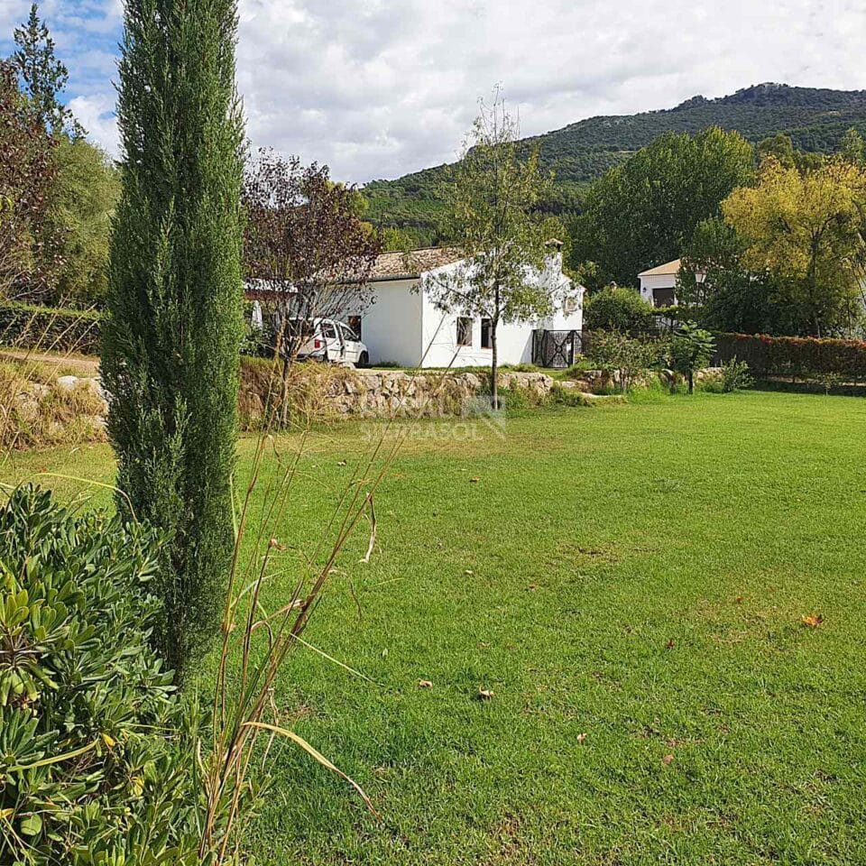 Conjunto de dos Casas Rurales en El Bosque con chimenea y barbacoa - Imagen 4