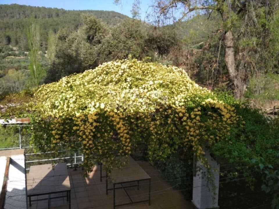Bonita Casa Rural con chimenea y barbacoa, en Hornos de Segura - Imagen 40