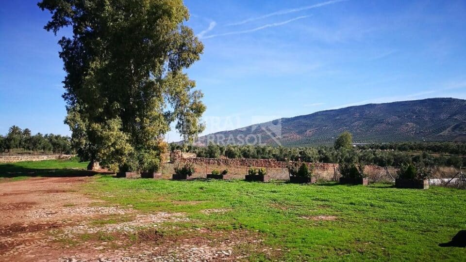 Señorial Casa Rural junto al Embalse de Guadalén - Imagen 12