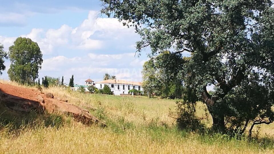 Señorial Casa Rural junto al Embalse de Guadalén - Imagen 21