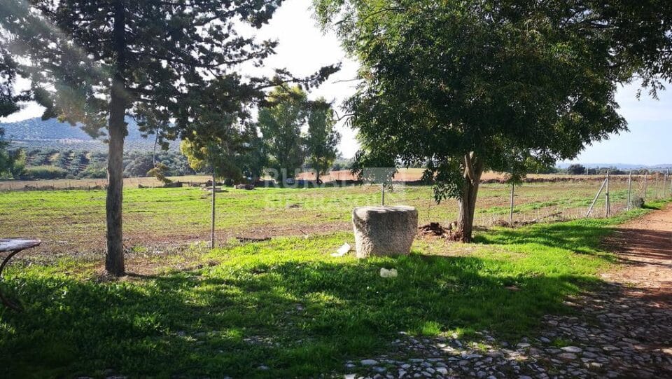 Señorial Casa Rural junto al Embalse de Guadalén - Imagen 22
