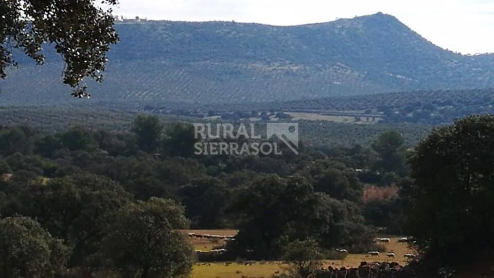 Señorial Casa Rural junto al Embalse de Guadalén - Imagen 23