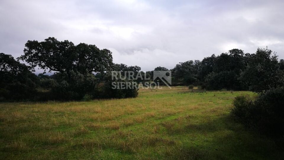 Señorial Casa Rural junto al Embalse de Guadalén - Imagen 27