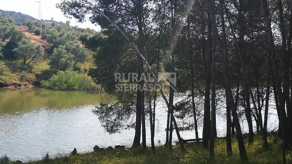 Señorial Casa Rural junto al Embalse de Guadalén - Imagen 30