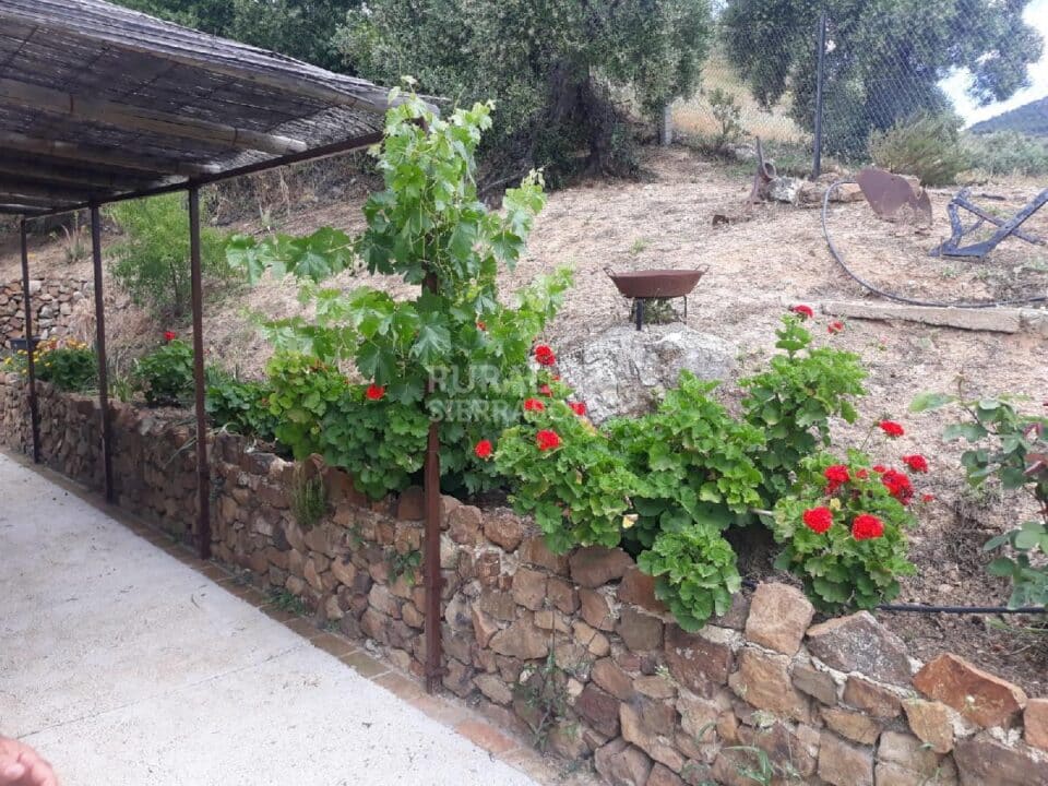 Acogedora Casa Rural con piscina y aire acondicionado, en El Gastor - Imagen 23