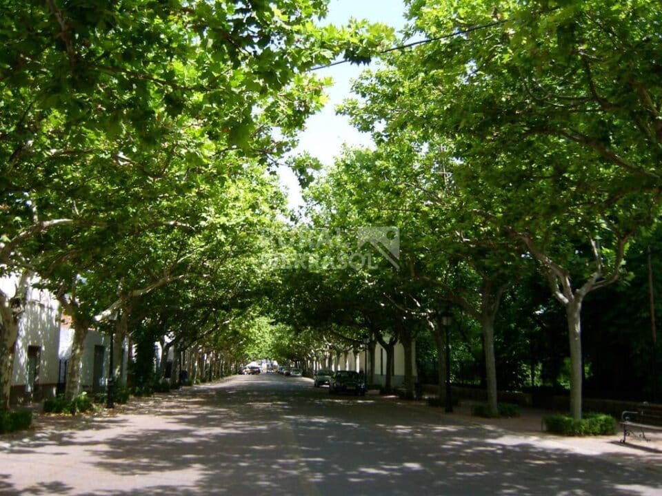 Acogedora Casa Rural en Siles, con aire acondicionado y wifi - Imagen 29