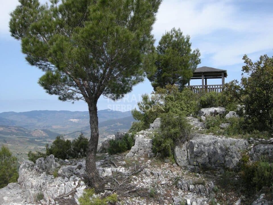Acogedora Casa Rural en Siles, con aire acondicionado y wifi - Imagen 30