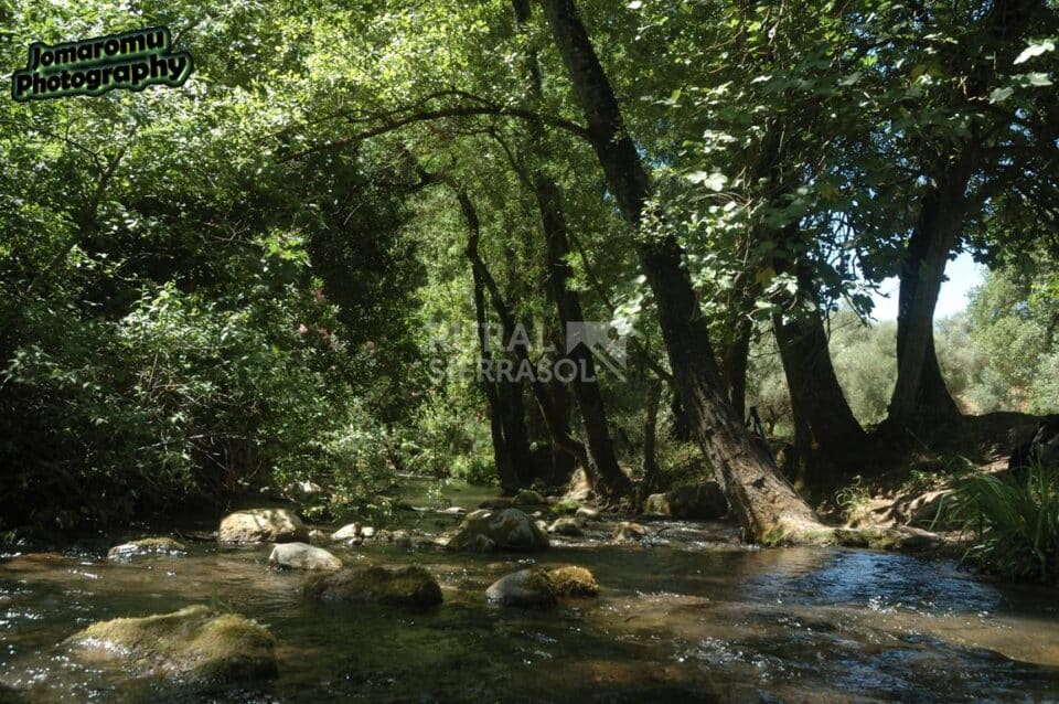 Acogedora casita rural en los pueblos blancos - Imagen 11