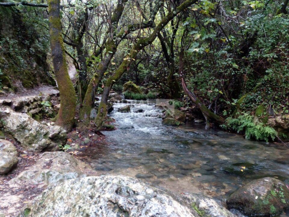 Acogedora casita rural en los pueblos blancos - Imagen 13