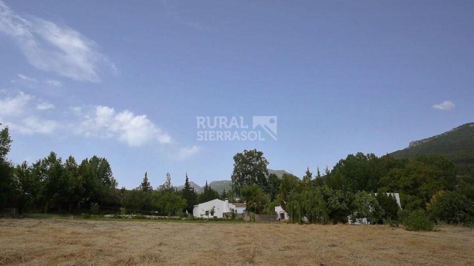 Conjunto de dos Casas Rurales en El Bosque con chimenea y barbacoa - Imagen 41